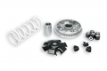Variatore Malossi Honda - Benelli - Keeway 