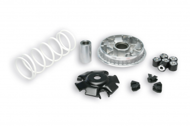 Variatore Malossi Honda - Benelli - Keeway