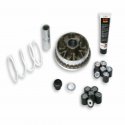 Variatore Malossi Honda Forza 300 - SH I - SH I Scoopy 300