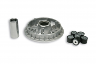 Variatore Malossi Honda Forza - Jazz - Reflex 250