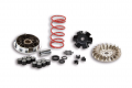 Variatore Malossi Yamaha - Mbk - Malaguti - Aprilia - Benelli 