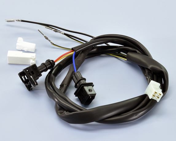 Cablaggio Ecu Polini Piaggio Liberty - Fly - Vespa Primavera - Sprint