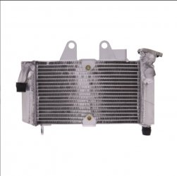 Radiatore Acqua Honda Xl 125
