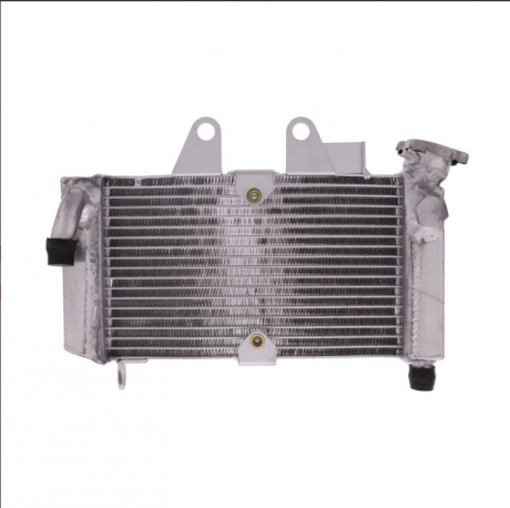 Radiatore Acqua Honda Xl 125