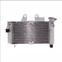 Radiatore Acqua Honda Xl 125