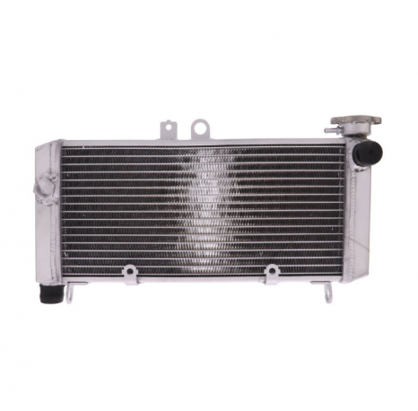 Radiatore Acqua Honda Cbf 600 