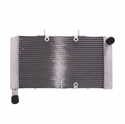 Radiatore Acqua Honda Cbr 600