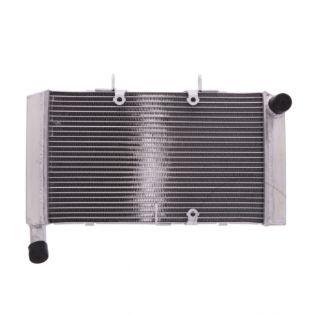 Radiatore Acqua Honda Cbr 600 
