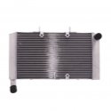 Radiatore Acqua Honda Cbr 600