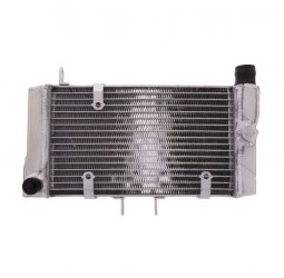 Radiatore Acqua Honda NT 650