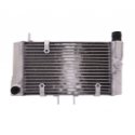 Radiatore Acqua Honda NT 650