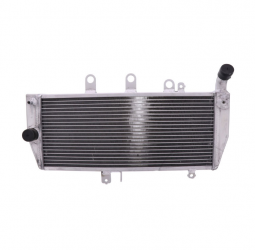 Radiatore Acqua Suzuki Gsx 1250