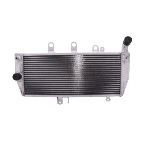 Radiatore Acqua Suzuki Gsx 1250 