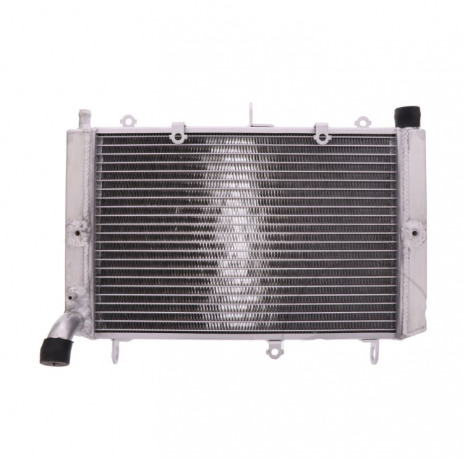Radiatore Acqua Yamaha Fzs 1000