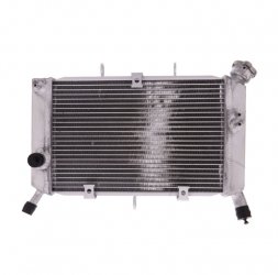 Radiatore Acqua Yamaha Xj6 600