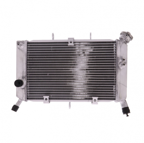 Radiatore Acqua Yamaha Xj6 600