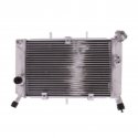 Radiatore Acqua Yamaha Xj6 600