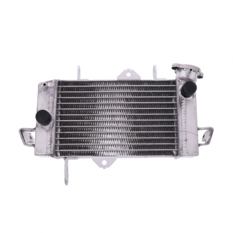 Radiatore Acqua Yamaha Yzf-R 125 