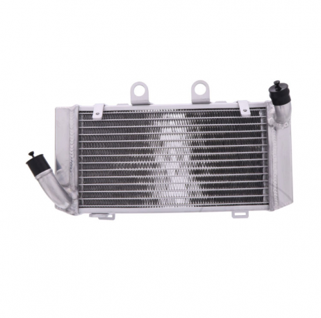 Radiatore Acqua Honda Xl 1000 V Varadero