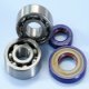 Kit Revisione Polini Ape 50 - Vespa Pk - Primavera - Special 
