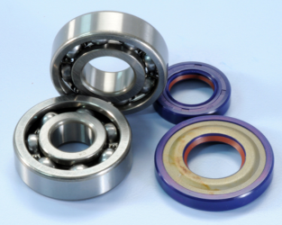 Kit Revisione Polini Ape 50 - Vespa Pk - Primavera - Special