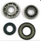 Kit revisione albero motore Piaggio Ape Tm P703 - Ape Car P602