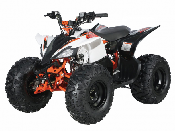 Quad Kayo Predator 125 2021