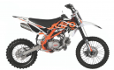 Pit Bike Kayo TT 125 2022
