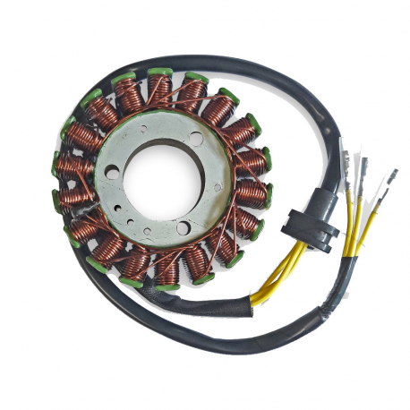 Statore Kawasaki VN 750 A 