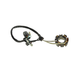 Statore Kawasaki KX 250 F 4T