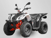 Promozione Quad Kayo AU 200 T3