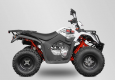 Promozione Quad Kayo AU 200 T3