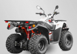 Promozione Quad Kayo AU 200 T3