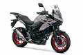 Suzuki SV-7GX 2026 colore Grigio Buffalo | Rosciano Moto