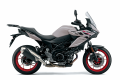 Suzuki SV-7GX 2026 colore Grigio Buffalo dx | Rosciano Moto