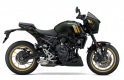 Suzuki GSX-8TT colore verde 