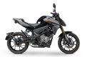 CF Moto 300 NK 