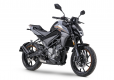 CF Moto 300 NK 