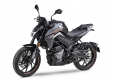 CF Moto 300 NK 
