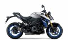 Promozione Suzuki GSX-S1000 Evo Usato RM24